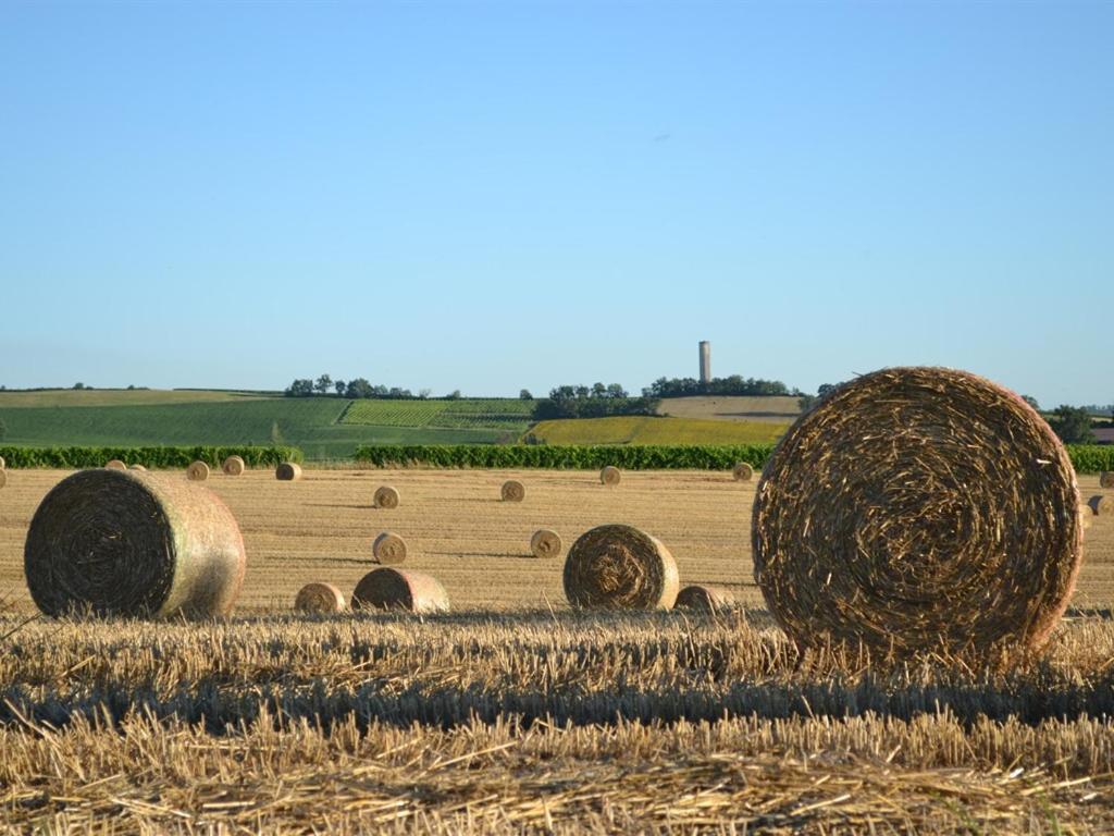 Du Côté de Chez Jeanne Hotel Fourcès Esterno foto